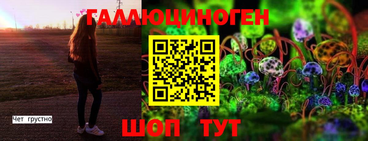 Псилоцибиновые грибы мицелий Елабуга