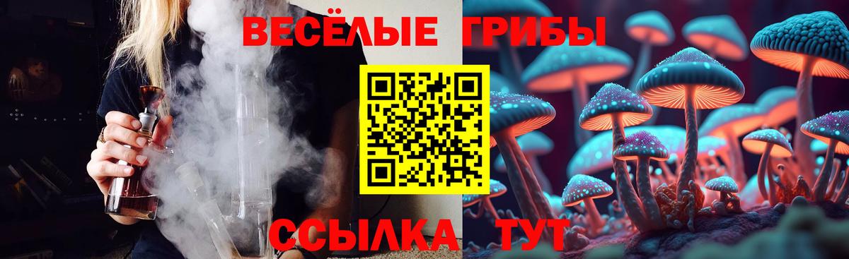 Галлюциногенные грибы Psilocybe  Вход с VPN  Елабуга 